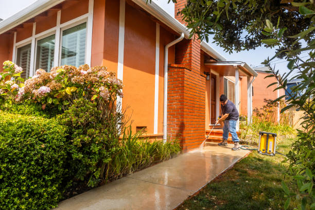 Best Roof Pressure Washing  in Sumrall, MS